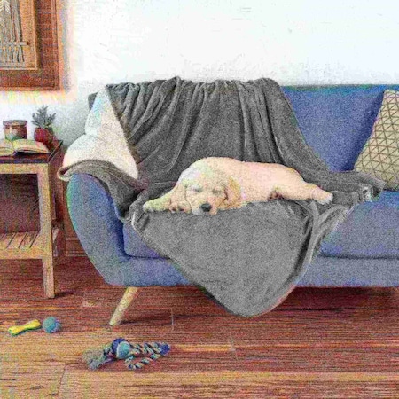 Pet Adobe Waterproof Pet Blanket, Washable, Bed and Furniture Protector, 50-inch x 60 inch, Gray 192262ANN